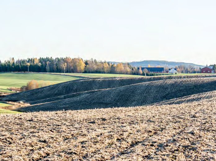 Høstharving Det gis tilskudd til lett høstharving i erosjonsklasse 2. For å motta tilskudd skal det harves en gang snarest mulig etter tresking.