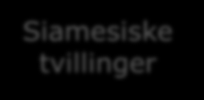 Siamesiske tvillinger Sjiktning