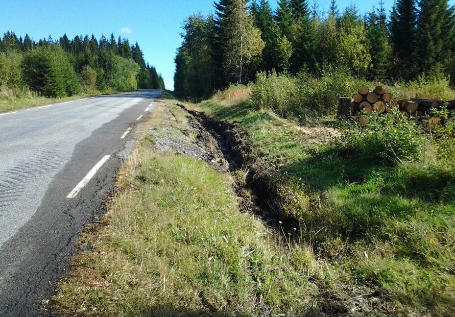 Flere gamle bruer har manglende bæreevne i forhold til tungtransporten. Kostnader knyttet til forsterkning av disse bruene er ikke tatt med i denne kartleggingen.