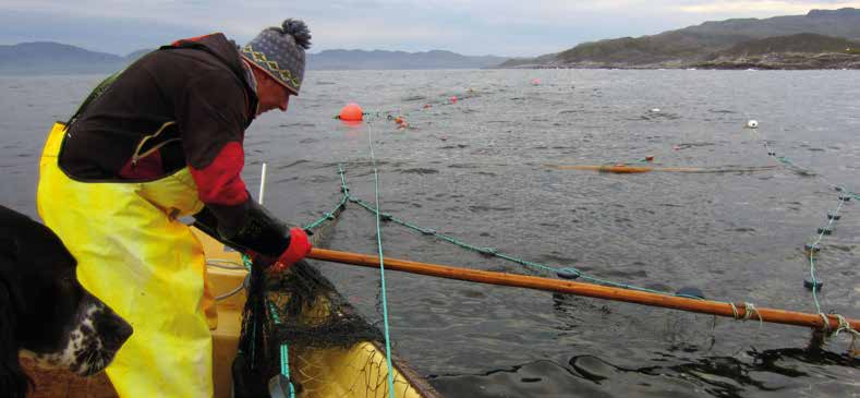 Eero Niemelä PINRO KOLARCTIC SALMON OPPSUMMERINGSRAPPORT RAPPORT 1-17 FORFATTERE: Eero Niemelä, Juha-Pekka Vähä, Martin-A.