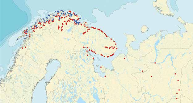 Innledning Grenseområdene mellom Norge, Russland og Finland har unike naturkvaliteter og naturresurser.