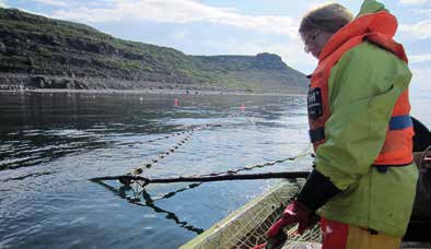 1-tallet, og til og med enda tidligere i områdene rundt Jarfjord og Bøkfjord. Laksefisket har derfor i svært lang tid vært en viktig del av selvhusholdningen ved siden av reindrift, jordbruk og jakt.