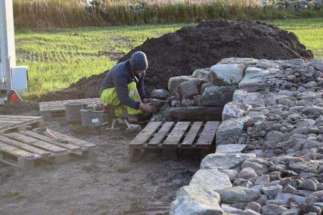 Figur 26: Stabilisering av sørveggen ved pinnesteiner. Kun pinnestein med naturlige overflater ble brukt. NOTAT OM «ÅPNE» MURKJERNER Både i østre og nordre vegg er murverket avbrutt, dvs.