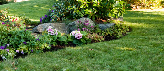 DEKORATIV I STAUDEBED, BLOMSTERBED OG KRUKKER PYNTEBARK AV FURU Pyntebark egner seg spesielt godt i krukker og kasser,