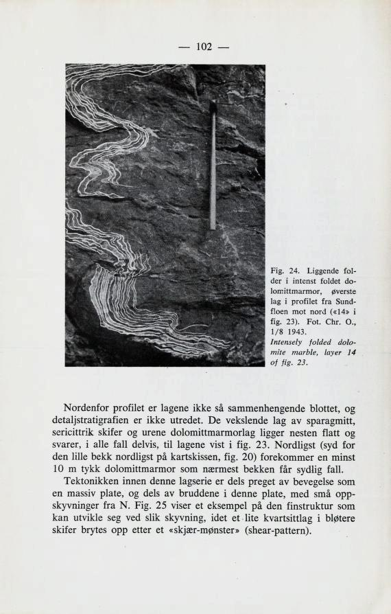 102 Fig. 24. Liggende fol der i intenst foldet do lomittmarmor, øverste lag i profilet fra Sund floen mot nord («14» i fig. 23). Fot. Chr. 0., 1/8 1943.