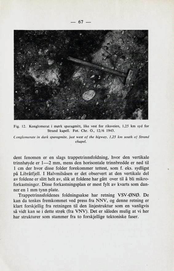 67 Fig. 12. Konglomerat i mørk sparagmitt, like vest for riksveien, 1,25 km syd for Strand kapell. Fot. Chr. 0., 12/6 1943.