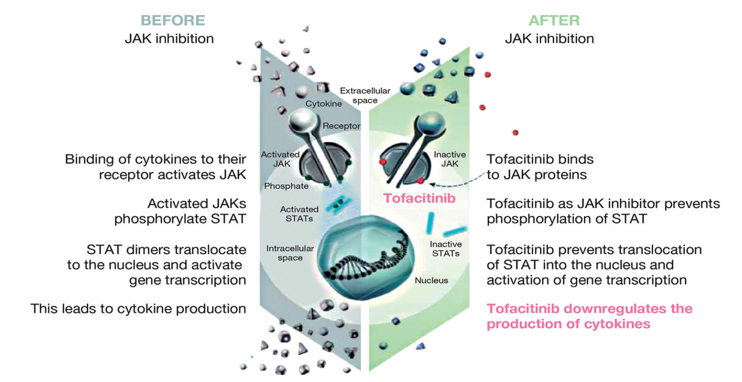 ikke-biologisk - Virker