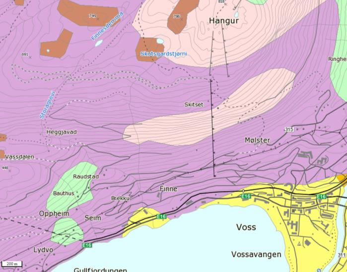 Området er dominert av forvitringsjord eller bart fjell/grunnlendt mark (Fig. 3). Forvitringsjorden inneholder en del finstoff, særlig der forvitringsmaterialet stammer fra fyllitt.