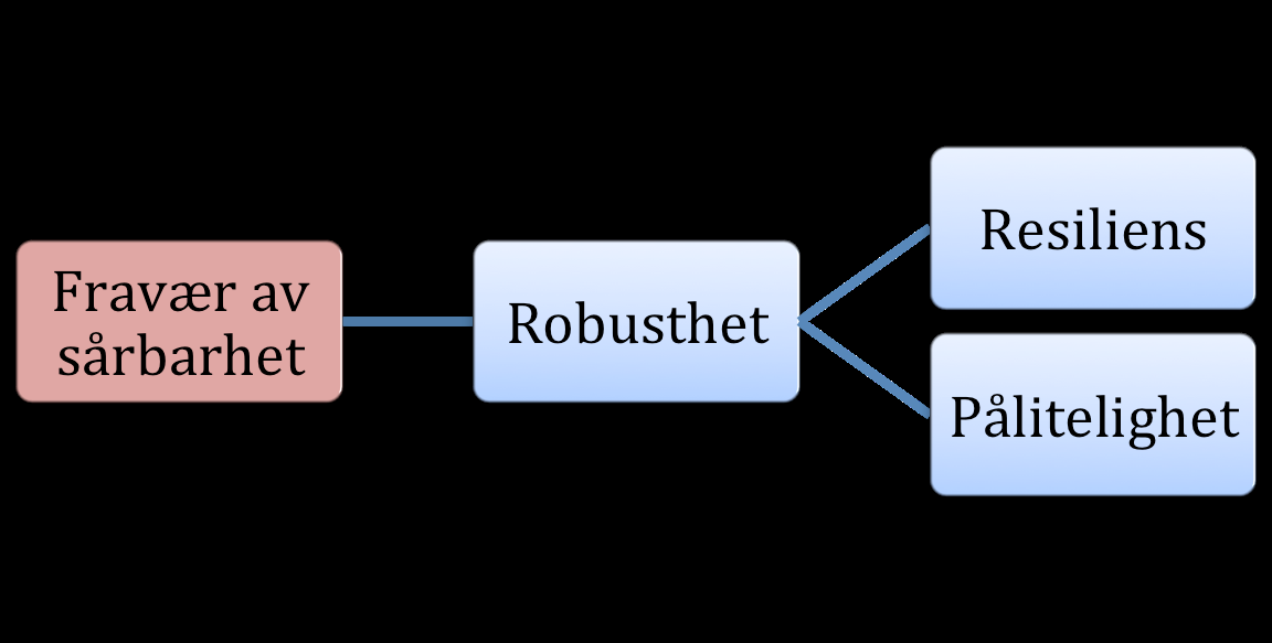 Begrepene robusthet og resiliens blir tolket på flere, og til tider motstridende, måter i ulik teori innen risikostyring (Kruke og Olsen, 2005; Hollnagel, Woods og Leveson, 2006; Rausand og Utne,