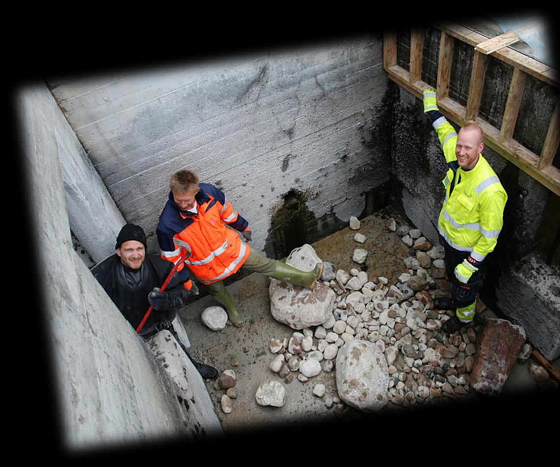 Typiske kostnadsrammer, anslag/eksempler Fisketrapp ~ 300 000 kr/høydemeter Fysiske tiltak i større vassdrag Miljødesign