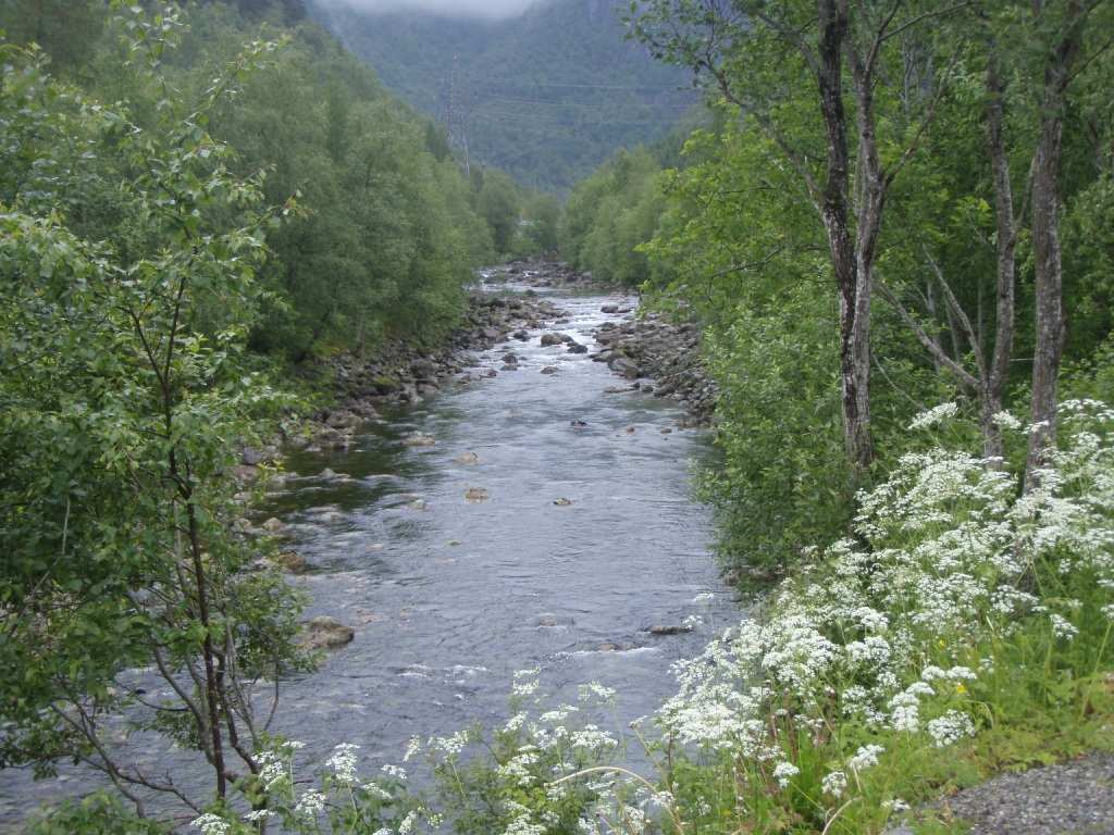 Matreelva i perioden 2006-2011 Sven-Erik Gabrielsen, Bjørn T. Barlaup, Godtfred A.