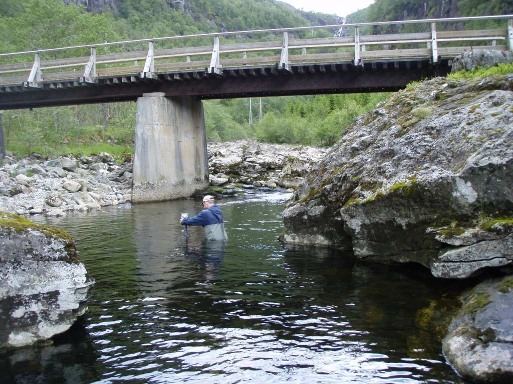 3.6 Vanndyp Fordelingen av de ulike kategorier for vanndypet var dominert av vanndyp på under 50 cm i hovedløpet av Matreelva, men elva har en del dype høler og partier med vanndyp på over 100 cm (21