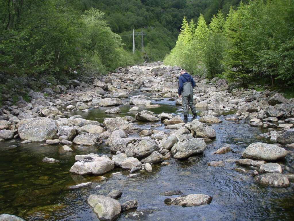 Tabell 3. Areal og fordeling av de ulike kategoriene for vanndyp i hovedløpet og restfeltet målt i Matreelva i midten av juni 2009.