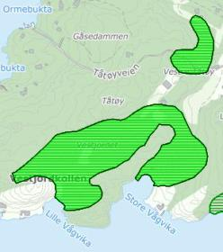 Det ble av flere nevnt en forekomst av en orkide et eller annet sted på Tåtøy, men noen nøyaktig lokalisering kunne ikke gis