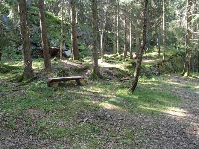 På den flate delen er det noe tørrbakkepreg, med bl.a. bergrørkvein og rødknapp.