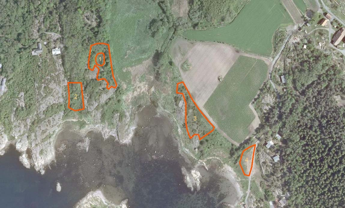 Figur 2: Avgrensede skjøtselssoner, indre ring i sone 1 viser utbredelsen for kammarimjelle i dag. Ved feltbefaringen i 2013 i forbindelse med denne planen ble 4 skjøtselssoner avgrenset (fig 2).