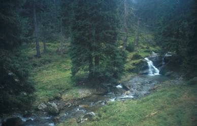 Hovedkonklusjon Best likt skog: Eldre, åpne, lett tilgjengelige skoger Skog med innslag av kulturmark eller kulturminner Naturskog er best likt i eldre suksesjonsstadier.