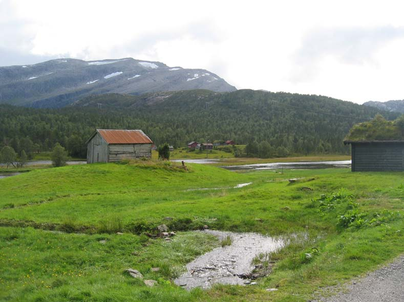 3.2 Myklebustdalen Myklebustdalen er forholdsvis høytliggende med sterk øst-vestlig retning. Den er frodig med mye vann. Det er avrenning fra dalsidene og breene i sør.