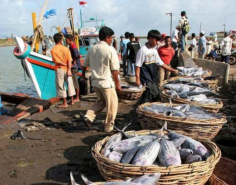 Indonesia har den nest lengste kystlinjen i verden