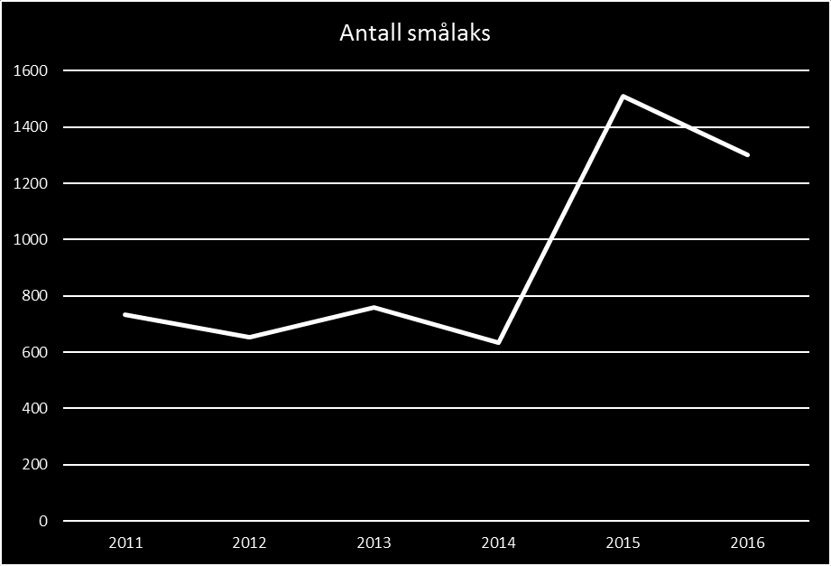 det likevel bra med mellomlaks i 2015.