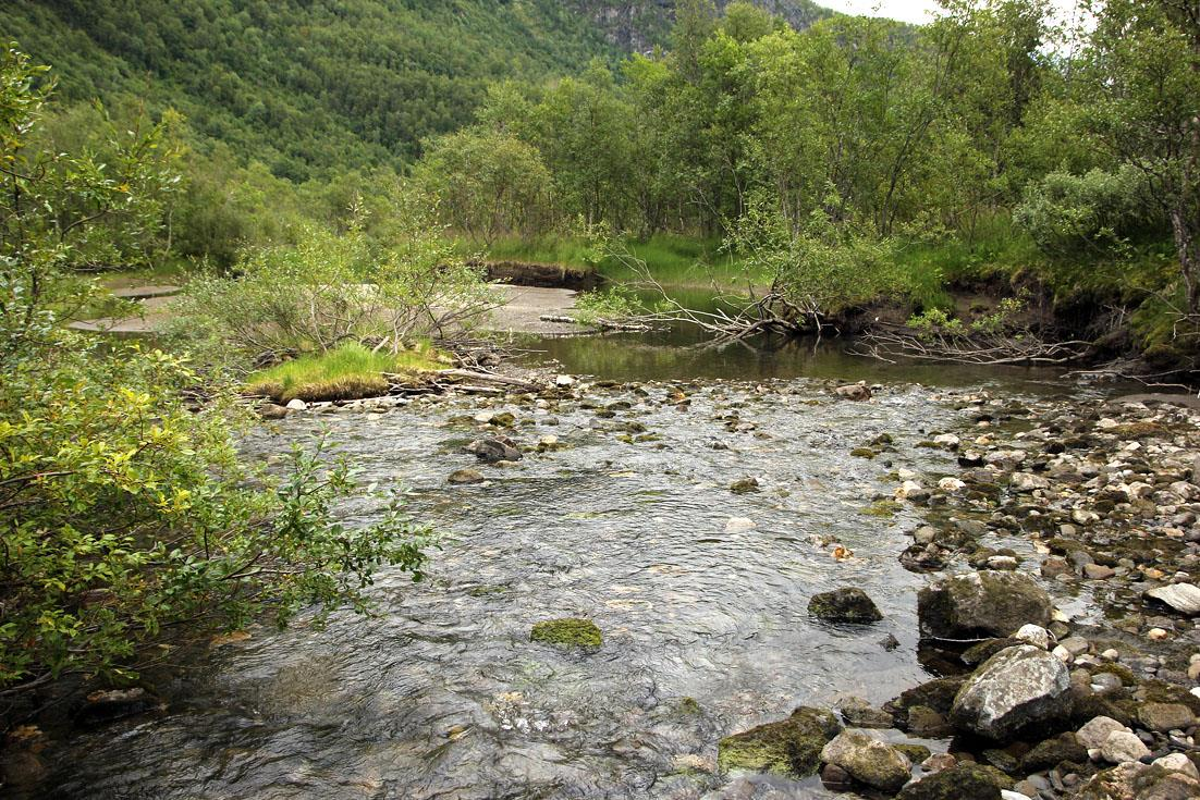 var større (Figur 4-3). Rett ovenfor det potensielle gyteområdet ble vanndypet noe større og bunnsubstratet grovere.