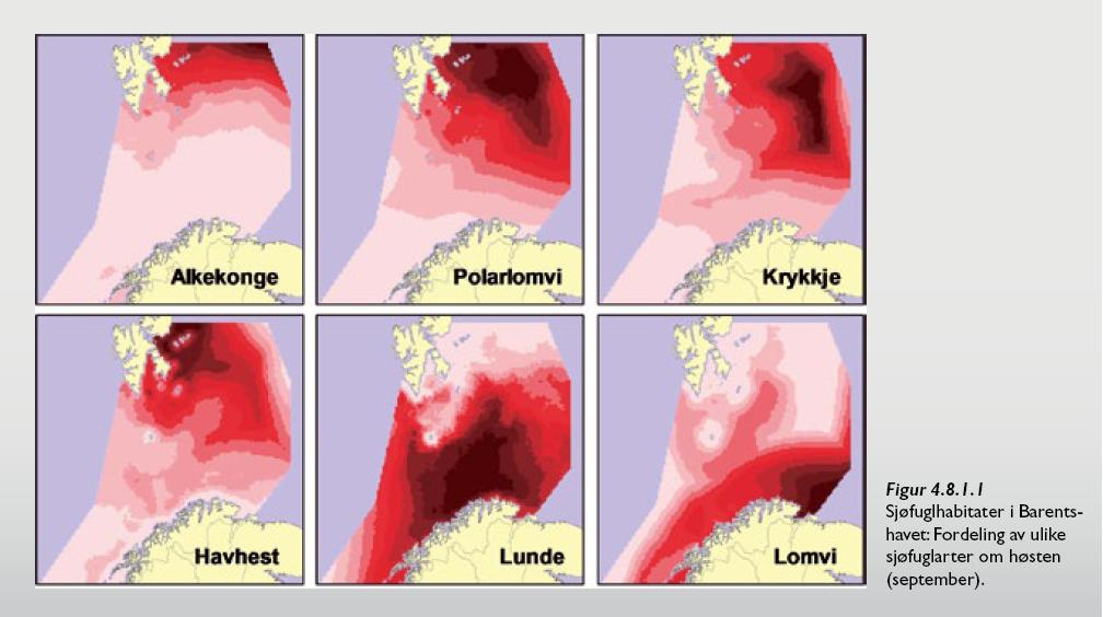 Direktoratet for Naturforvaltning har via SEAPOP gjort det klart at flere bestander av sjøfugl har nådd et historisk bunnivå. SEAPOP opplyste at 2007 var et bunnår etter 50 60 år med nedgang.