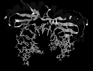 2 rrna Ribosomer mirna mrna prosessering Primært polypeptid Cellekjernen Modent mrna mrna Transkripsjon trna Modent protein DNA snrna Sekretert protein Primærtranskript Kjerneproteiner Genuttrykket