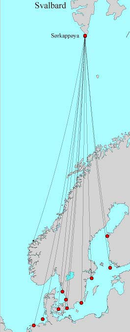 4.3 Datafangst på fjæreplytt Det ble tatt biometriske mål av alle flyvedyktige fjæreplytt som ble fanget. Etter å ha bestemt alder, ble det tatt biometriske mål som vingelengde, nebblengde og vekt.