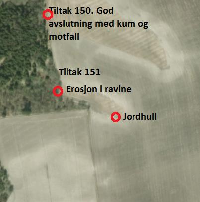 6.14 Anlegg: Jørentvet Kommune: Trøgstad Tiltaksnummer i Bioforskrapport 102/2013: 150-151 Observasjoner fra feltarbeid: Tiltak 151: Det er et stort jordhull i en bakke ca 50 meter fra utløpet.