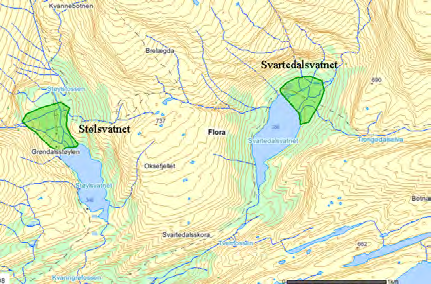 71 Stølsvatnet UTM: EUREF89 32VLP, Ø: 1823, N: 4640 Naturtype: Stor elveør E04 Utforming: Verdi: Viktig B Trusler: Feltsjekk: 01.07.1999 (siste) Lokalitetsskildring innlagt av GGa den 27.02.