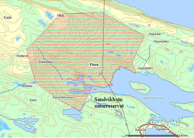 93 Sandvikbotn NR UTM: EUREF89 32VLP, Ø: 040, N: 346 Naturtype: Kystfuruskog F12 Utforming: Verdi: Svært viktig A Vernestatus: Naturreservat (N.lov 8) Trusler: Beiting & Skogbruksdrift Feltsjekk: 14.