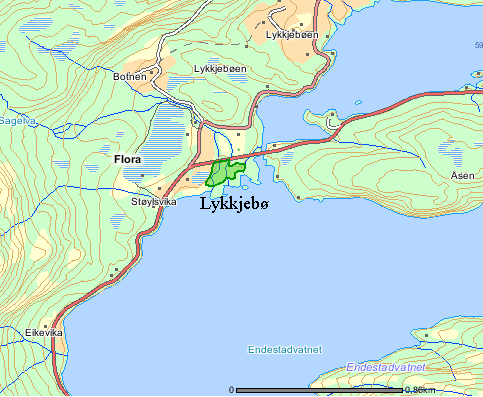 96 Lykkjebø UTM: EUREF89 32VLP, Ø: 1775, N: 3545 Naturtype: Rik sumpskog F06 Utforming: Viersump i lavlandet F0603 Verdi: Lokalt viktig C Trusler: Skogbruksdrift & Feltsjekk: (siste)