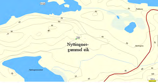 244 Nyttingnes - gammel eik UTM: EUREF89 32VKP, Ø: 9872, N: 3501 Naturtype: Store gamle trær D12 Utforming: Hult tre D1203 Verdi: Lokalt viktig C Trusler: Feltsjekk: 05.06.