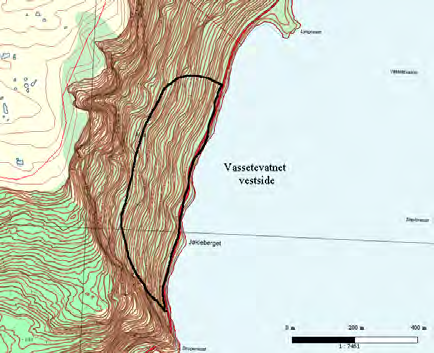 299 Vassetevatnet vestside UTM: EUREF89 32VLP, Ø: 1256, N: 2824 Naturtype: Rik edellauvskog F01 Utforming: Verdi: Svært viktig A Trusler: Skogbruksdrift & Feltsjekk: 07.06.