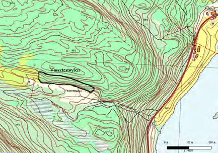 300 Vassetestøylen UTM: EUREF89 32VLP, Ø: 1290, N: 2999 Naturtype: Kalkskog F03 Utforming: Lågurtkalkskog i kyststrøk F0306 Verdi: Viktig B Trusler: Skogbruksdrift & Feltsjekk: 07.06.2007 (siste) Lokalitetsskildring innlagt av GGa den 22.