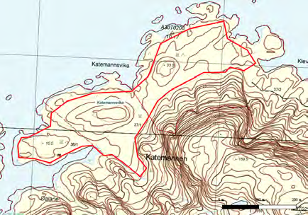 305 Skorpa: Katemannsvika UTM: EUREF89 32VKP, Ø: 7728, N: 3598 Naturtype: Naturbeitemark D04 Utforming: Verdi: Viktig B Trusler: Gjengroing & Feltsjekk: 07.06.