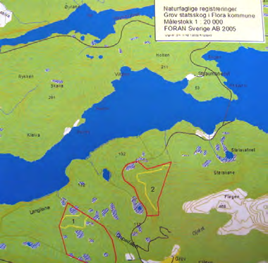 310 Fløgen nordside UTM: EUREF89 32VLP, Ø: 047, N: 376 Naturtype: Gammel barskog F08 Utforming: Gammel furuskog F0802 Verdi: Viktig B Trusler: Skogbruksdrift & Feltsjekk: 16.10.2005 (siste) Lokalitetsskildring innlagt av GGa den 27.