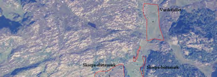 313 Skorpa - beitemark UTM: EUREF89 32VKP, Ø: 7803, N: 3539 Naturtype: Naturbeitemark D04 Utforming: Verdi: Viktig B Trusler: Gjengroing & Feltsjekk: (siste) Lokalitetsbeskrivelse innlagt av GGa den