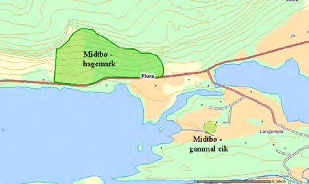 47 Midtbø - gammal eik UTM: EUREF89 32VLP, Ø: 1490, N: 4082 Naturtype: Store gamle trær D12 Utforming: Gammelt tre D1204 Verdi: Lokalt viktig C Trusler: Feltsjekk: 01.07.