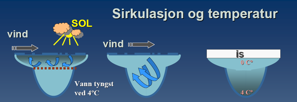 -Vind og sol påvirker sirkulasjon -Full sirkulasjon