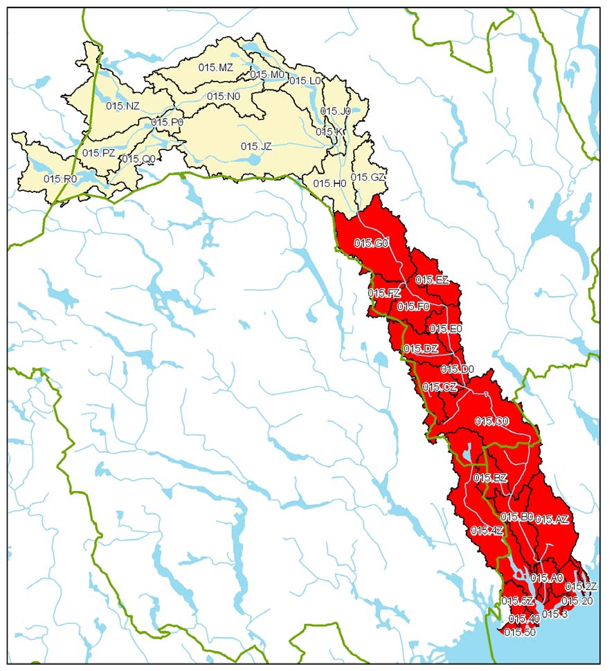 2. NUMEDALSLÅGENS DELOMRÅDER Numedalslågens delområder på overordnet nivå, går fram av Figur 4. Inndelingen er REGINEenheter på nivå 2A (for nærmere beskrivelse av REGINE, se NVEs nettsider, f. eks.