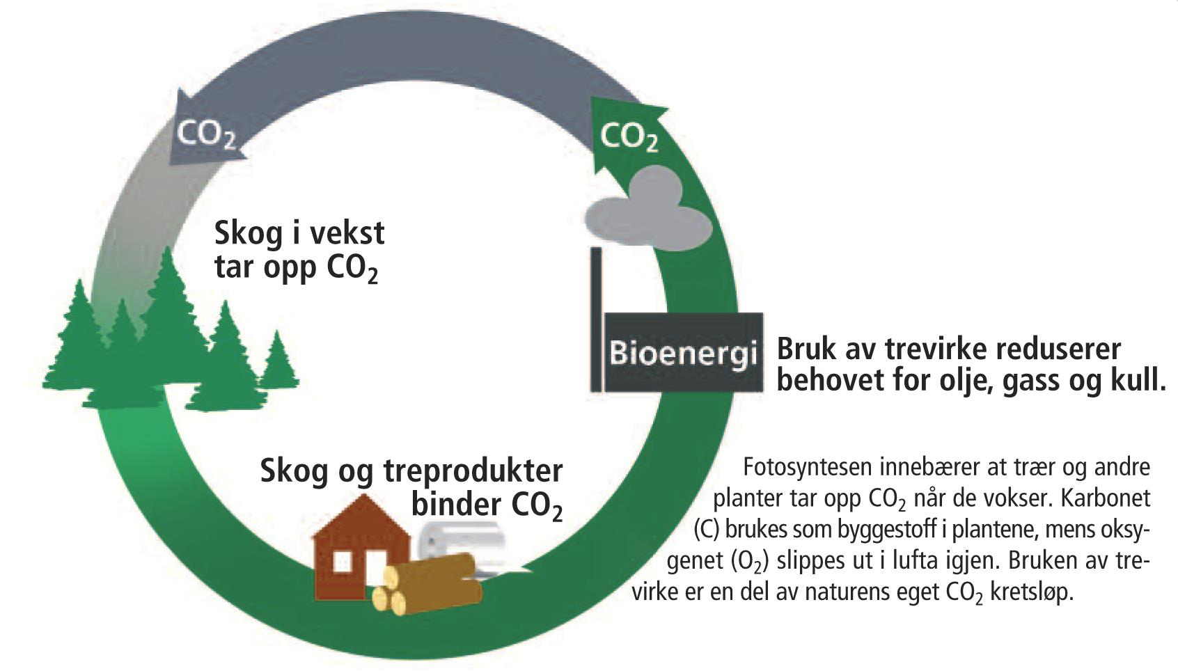 FNs klimapanel:skogbrukets betydning for klimaeffektene Nils Bøhn, Norges