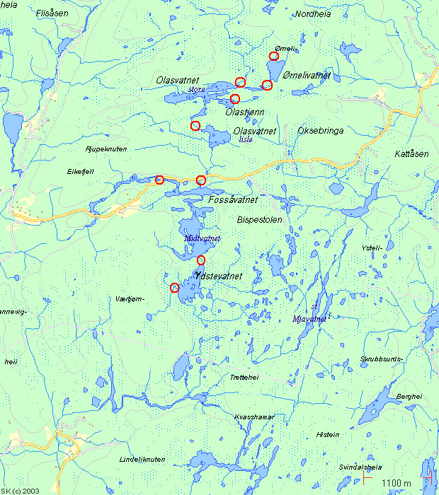 Områdebeskrivelse Figur 1. Oversiktskart over det aktuelle området. Det er prøvefisket i Ydstevatn og Store Olasvatn. Bekker som er fisket med elektrisk fiskeapparat er markert med sirkler.