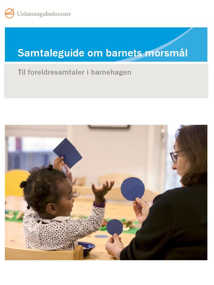 «Samtaleguide kartlegging av barnets morsmål» Strukturert samtaleguide 5 temaer; Bakgrunn Aktivitet og kommunikasjon Tidlig utvikling Forståelsen av morsmålet Bruken av språket Ment brukt når