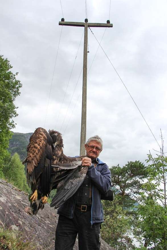 Foto: Agnar Målsnes Ivar Børve med død havørn.