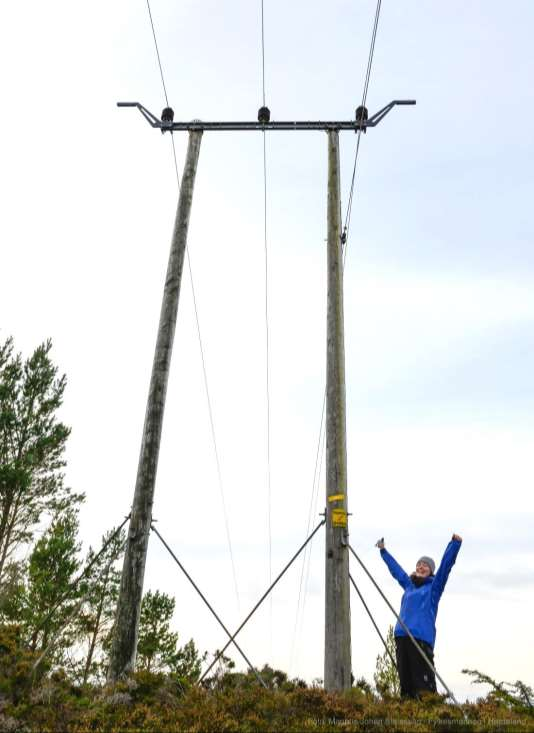 Vegen vidare: Meir relevante