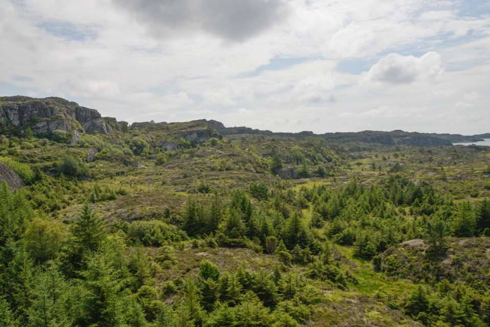 Nye trugsmål kjem o Lite potensielle byttedyr o For teitt skog til å jakte o