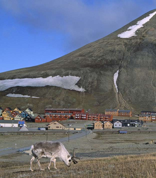 Lokalsamfunnsplanens strategiske del - samfunnsdel Longyearbyen 2004-2012 Vedtatt av