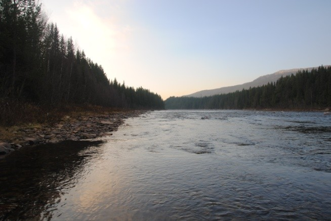 Figur 3. Bilder fra Glomma, Øverst: Nedstrøms Barkalfossen ved ulike vannføringer, hhv. ved ca. 50 (venstre) og 10 m 3 /s (høyre) slipp forbi Høyegga.