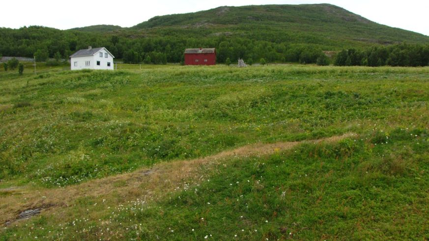 Figur 24. Gården Sandøyra sett fra sjøen. Lokaliteten består av hele enga på bildet.